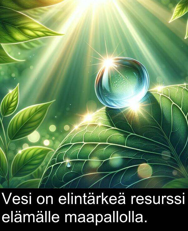 maapallolla: Vesi on elintärkeä resurssi elämälle maapallolla.
