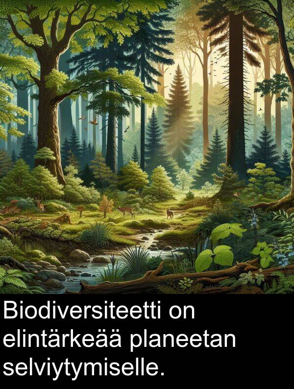 selviytymiselle: Biodiversiteetti on elintärkeää planeetan selviytymiselle.
