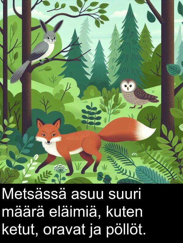 suuri: Metsässä asuu suuri määrä eläimiä, kuten ketut, oravat ja pöllöt.