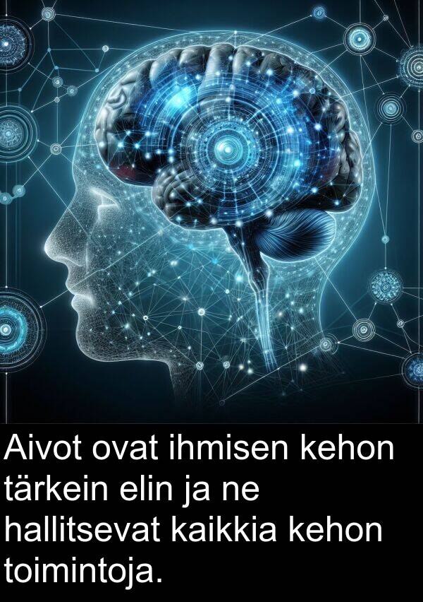 ihmisen: Aivot ovat ihmisen kehon tärkein elin ja ne hallitsevat kaikkia kehon toimintoja.
