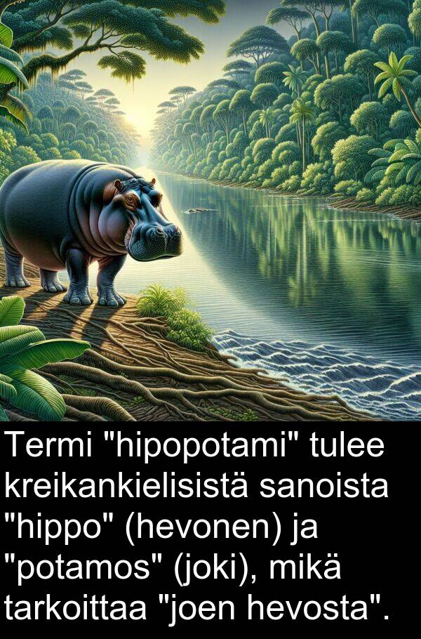 sanoista: Termi "hipopotami" tulee kreikankielisistä sanoista "hippo" (hevonen) ja "potamos" (joki), mikä tarkoittaa "joen hevosta".