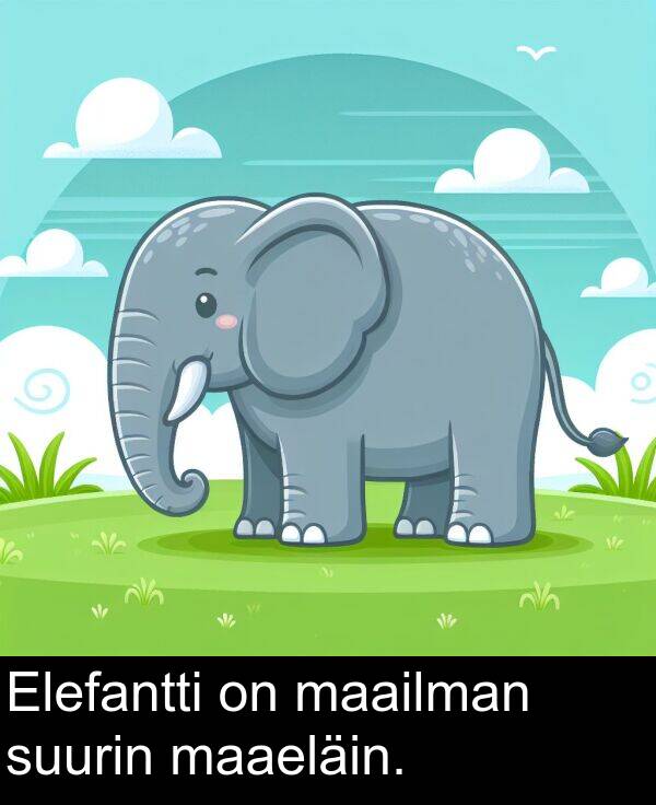 suurin: Elefantti on maailman suurin maaeläin.
