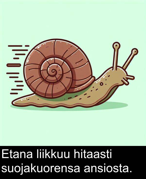 suojakuorensa: Etana liikkuu hitaasti suojakuorensa ansiosta.