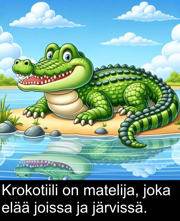 joka: Krokotiili on matelija, joka elää joissa ja järvissä.
