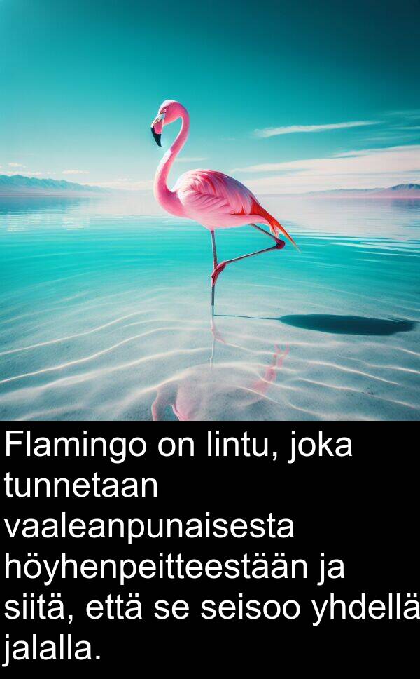 jalalla: Flamingo on lintu, joka tunnetaan vaaleanpunaisesta höyhenpeitteestään ja siitä, että se seisoo yhdellä jalalla.