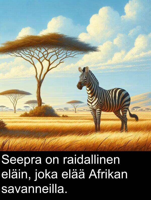savanneilla: Seepra on raidallinen eläin, joka elää Afrikan savanneilla.