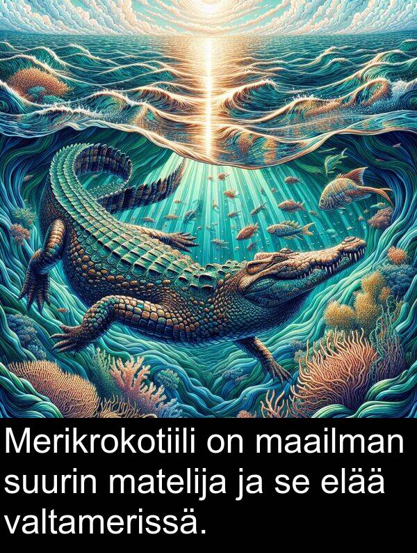 suurin: Merikrokotiili on maailman suurin matelija ja se elää valtamerissä.