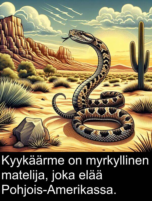 matelija: Kyykäärme on myrkyllinen matelija, joka elää Pohjois-Amerikassa.