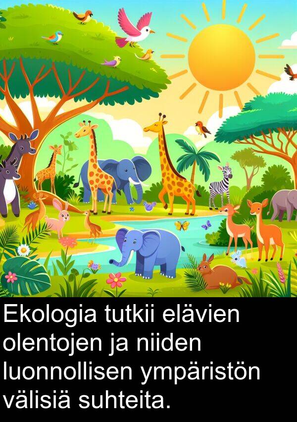 suhteita: Ekologia tutkii elävien olentojen ja niiden luonnollisen ympäristön välisiä suhteita.