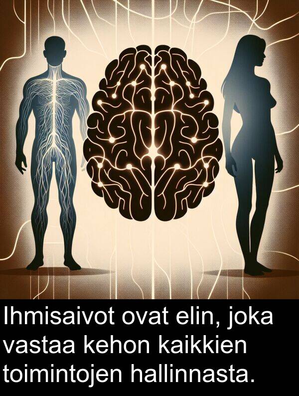 vastaa: Ihmisaivot ovat elin, joka vastaa kehon kaikkien toimintojen hallinnasta.