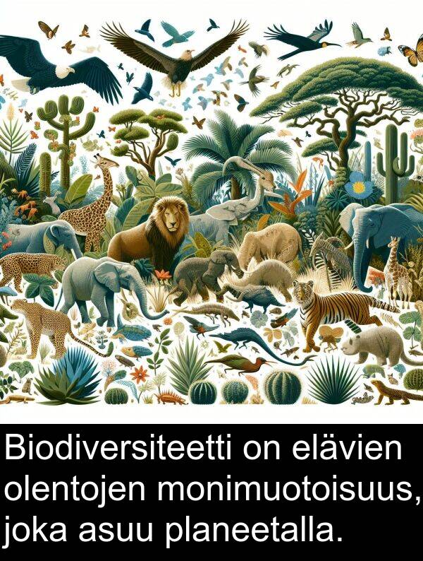 olentojen: Biodiversiteetti on elävien olentojen monimuotoisuus, joka asuu planeetalla.