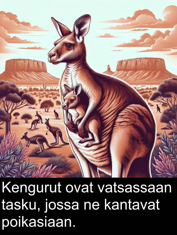 vatsassaan: Kengurut ovat vatsassaan tasku, jossa ne kantavat poikasiaan.