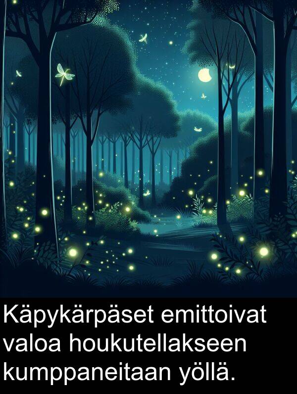 valoa: Käpykärpäset emittoivat valoa houkutellakseen kumppaneitaan yöllä.