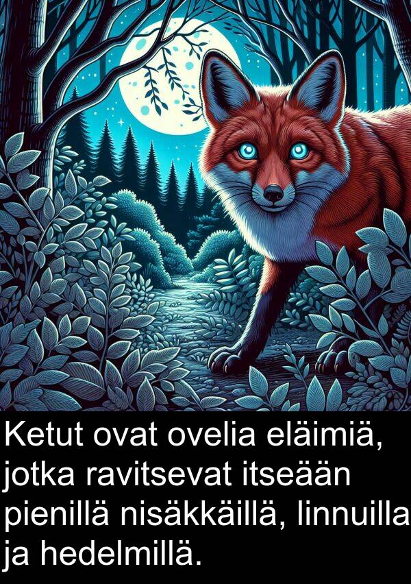 nisäkkäillä: Ketut ovat ovelia eläimiä, jotka ravitsevat itseään pienillä nisäkkäillä, linnuilla ja hedelmillä.