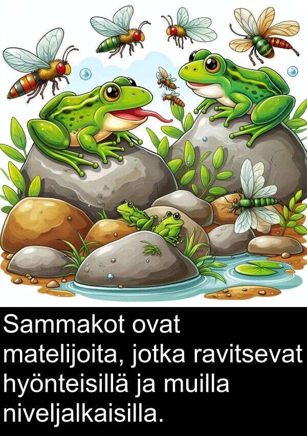 matelijoita: Sammakot ovat matelijoita, jotka ravitsevat hyönteisillä ja muilla niveljalkaisilla.