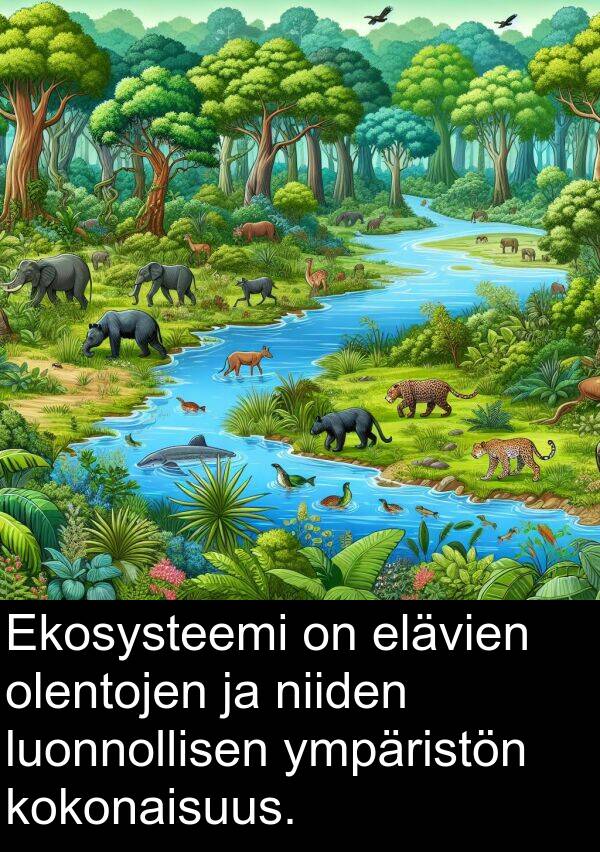 niiden: Ekosysteemi on elävien olentojen ja niiden luonnollisen ympäristön kokonaisuus.