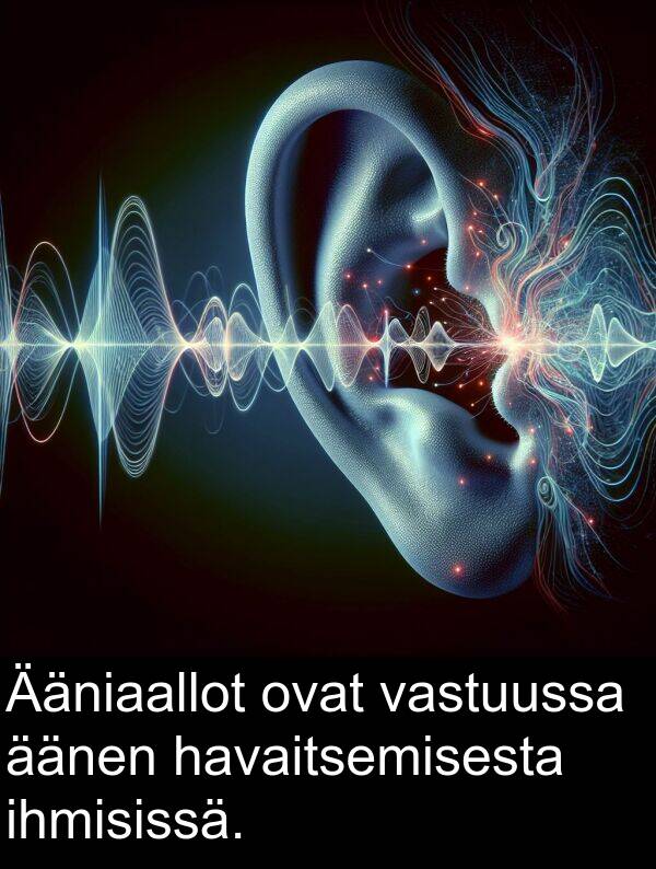 ihmisissä: Ääniaallot ovat vastuussa äänen havaitsemisesta ihmisissä.