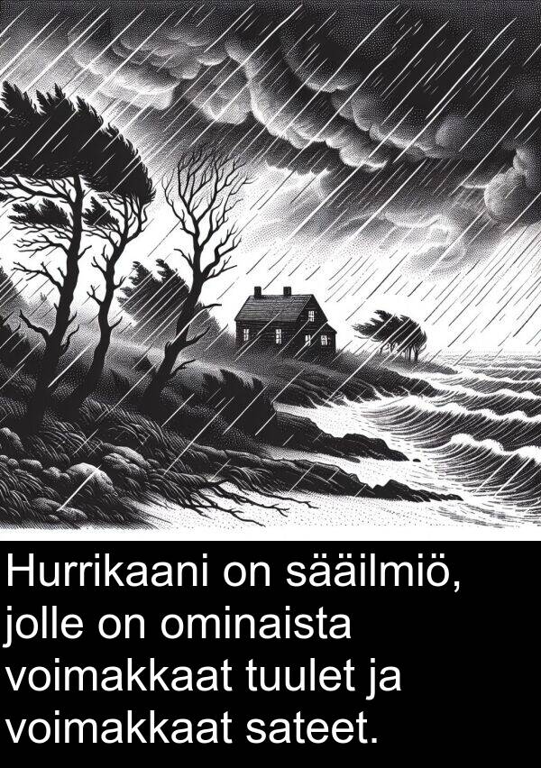 sateet: Hurrikaani on sääilmiö, jolle on ominaista voimakkaat tuulet ja voimakkaat sateet.