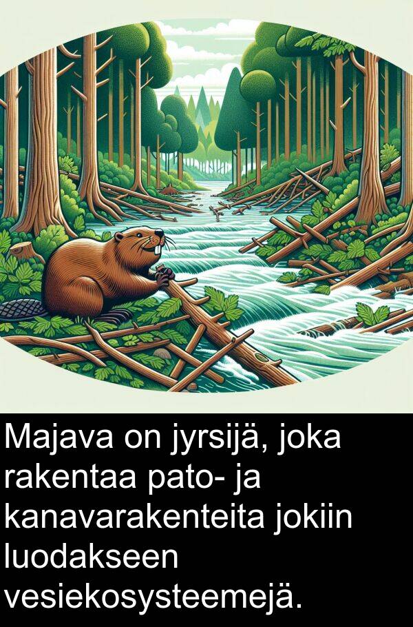 vesiekosysteemejä: Majava on jyrsijä, joka rakentaa pato- ja kanavarakenteita jokiin luodakseen vesiekosysteemejä.
