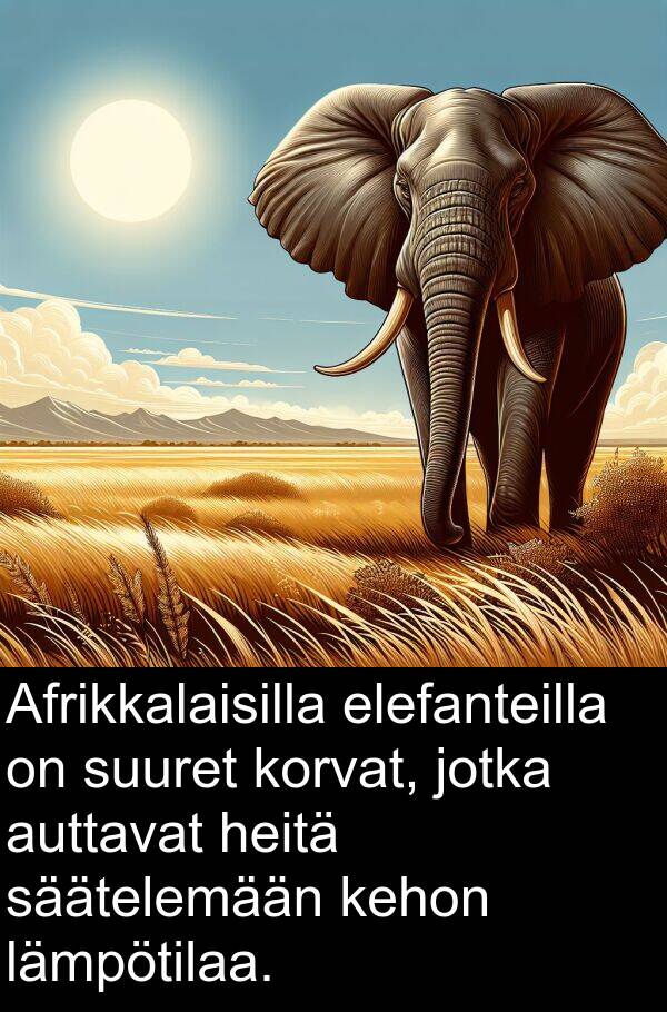 suuret: Afrikkalaisilla elefanteilla on suuret korvat, jotka auttavat heitä säätelemään kehon lämpötilaa.