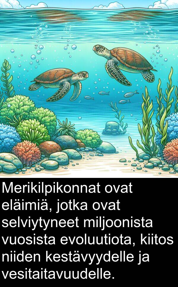 vuosista: Merikilpikonnat ovat eläimiä, jotka ovat selviytyneet miljoonista vuosista evoluutiota, kiitos niiden kestävyydelle ja vesitaitavuudelle.