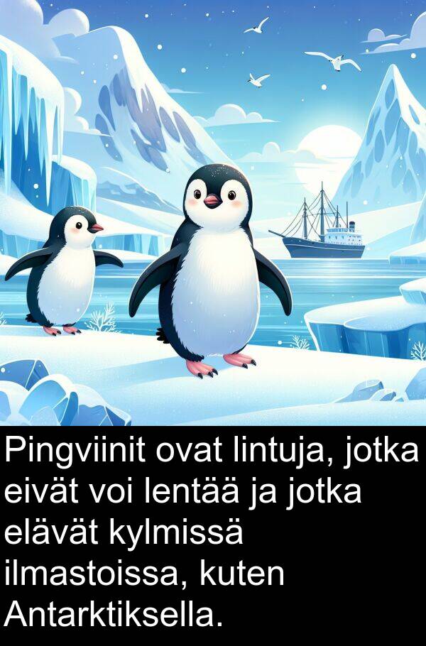 lentää: Pingviinit ovat lintuja, jotka eivät voi lentää ja jotka elävät kylmissä ilmastoissa, kuten Antarktiksella.