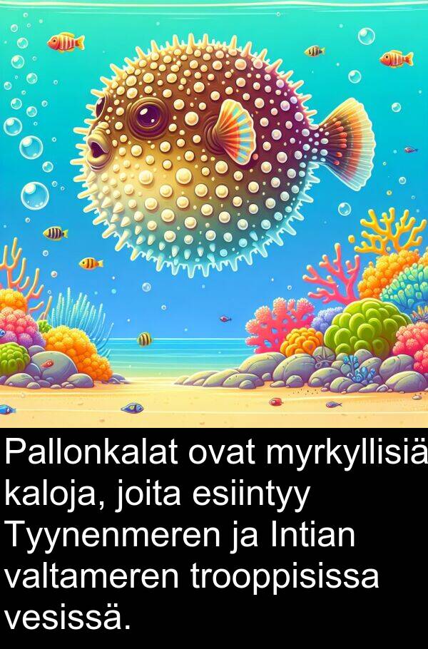vesissä: Pallonkalat ovat myrkyllisiä kaloja, joita esiintyy Tyynenmeren ja Intian valtameren trooppisissa vesissä.