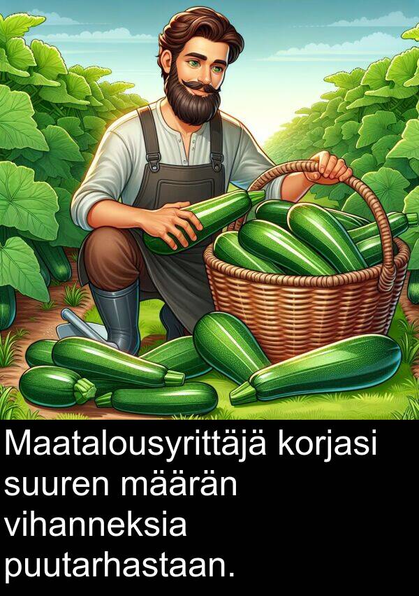 suuren: Maatalousyrittäjä korjasi suuren määrän vihanneksia puutarhastaan.