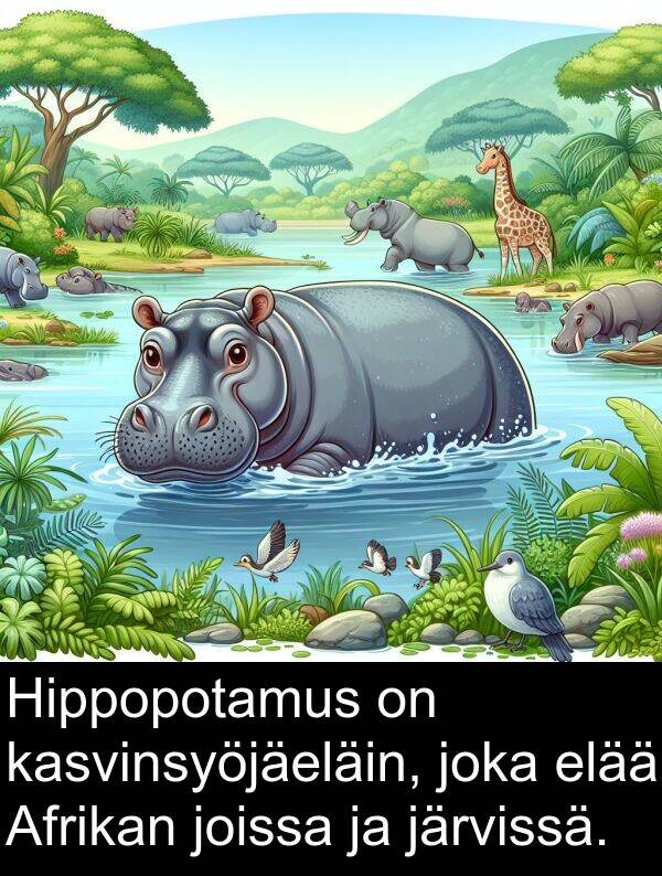 kasvinsyöjäeläin: Hippopotamus on kasvinsyöjäeläin, joka elää Afrikan joissa ja järvissä.