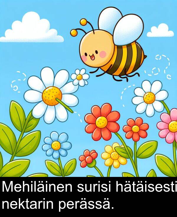 surisi: Mehiläinen surisi hätäisesti nektarin perässä.