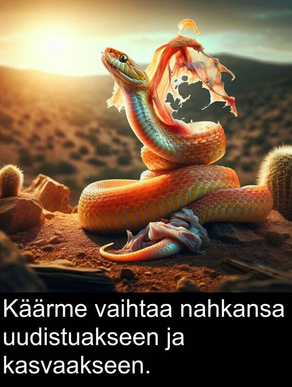 vaihtaa: Käärme vaihtaa nahkansa uudistuakseen ja kasvaakseen.