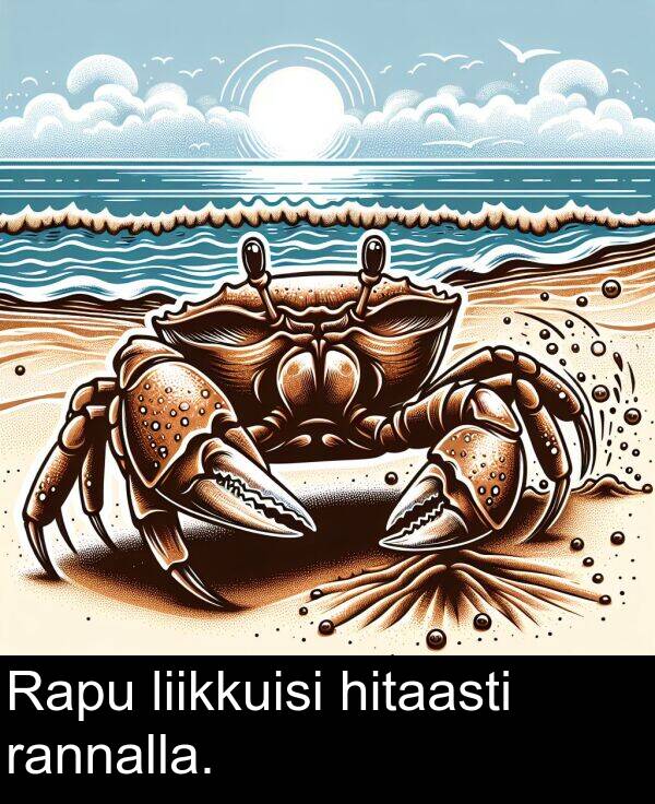 liikkuisi: Rapu liikkuisi hitaasti rannalla.