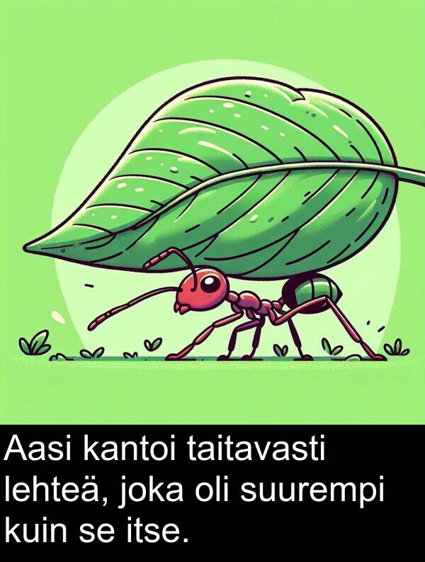 suurempi: Aasi kantoi taitavasti lehteä, joka oli suurempi kuin se itse.