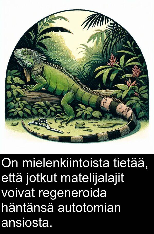 regeneroida: On mielenkiintoista tietää, että jotkut matelijalajit voivat regeneroida häntänsä autotomian ansiosta.