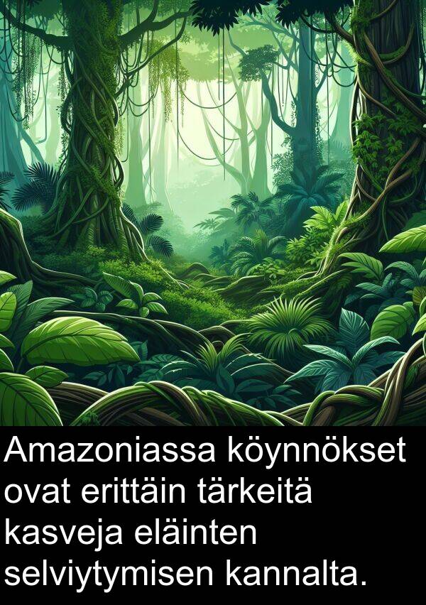 selviytymisen: Amazoniassa köynnökset ovat erittäin tärkeitä kasveja eläinten selviytymisen kannalta.