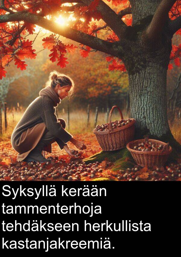 tammenterhoja: Syksyllä kerään tammenterhoja tehdäkseen herkullista kastanjakreemiä.