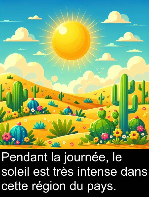 journée: Pendant la journée, le soleil est très intense dans cette région du pays.