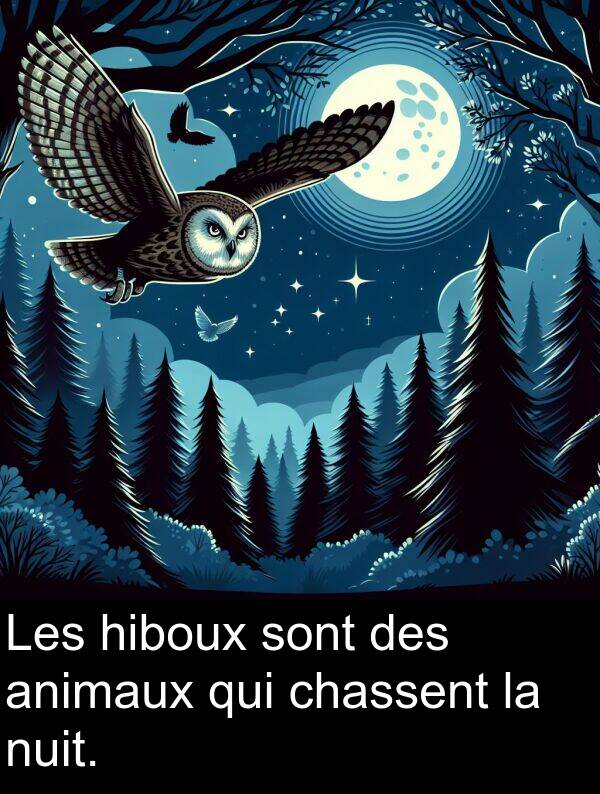hiboux: Les hiboux sont des animaux qui chassent la nuit.