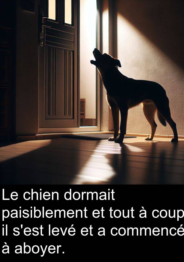 levé: Le chien dormait paisiblement et tout à coup il s'est levé et a commencé à aboyer.