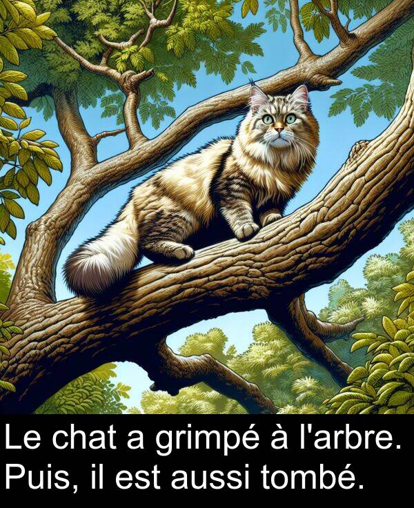 tombé: Le chat a grimpé à l'arbre. Puis, il est aussi tombé.