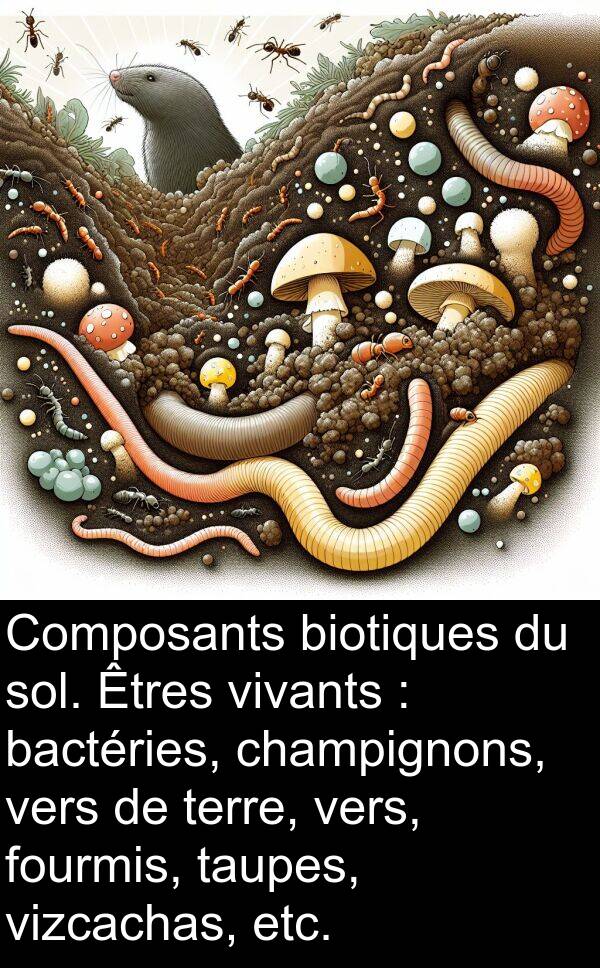 vizcachas: Composants biotiques du sol. Êtres vivants : bactéries, champignons, vers de terre, vers, fourmis, taupes, vizcachas, etc.