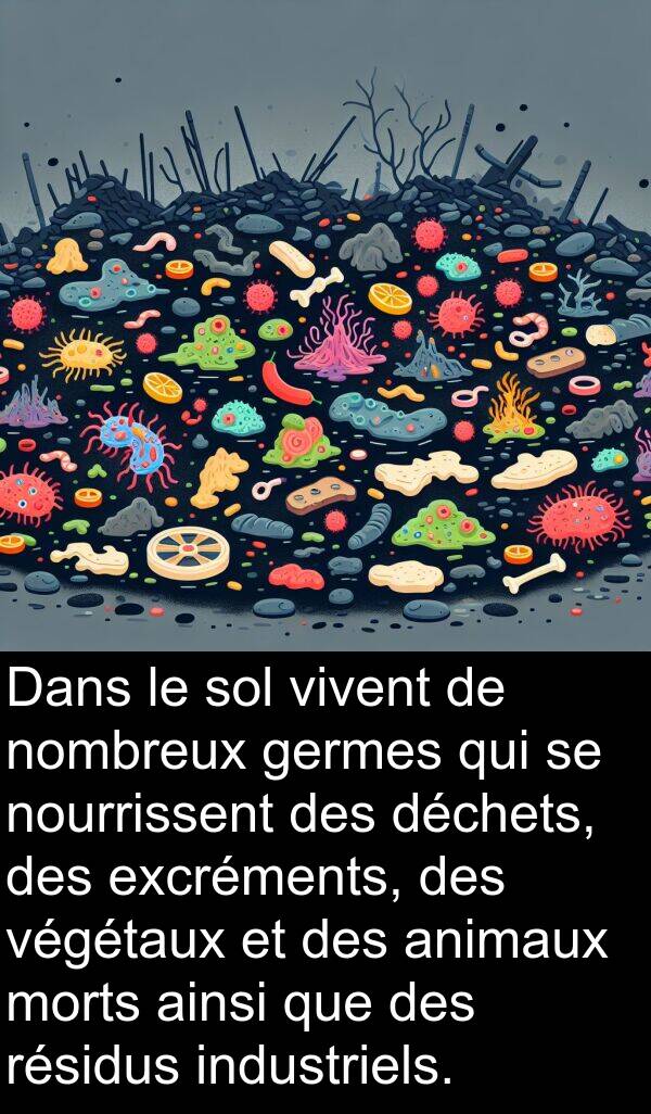 déchets: Dans le sol vivent de nombreux germes qui se nourrissent des déchets, des excréments, des végétaux et des animaux morts ainsi que des résidus industriels.