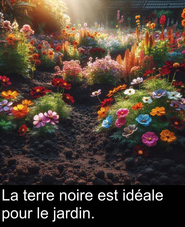 jardin: La terre noire est idéale pour le jardin.