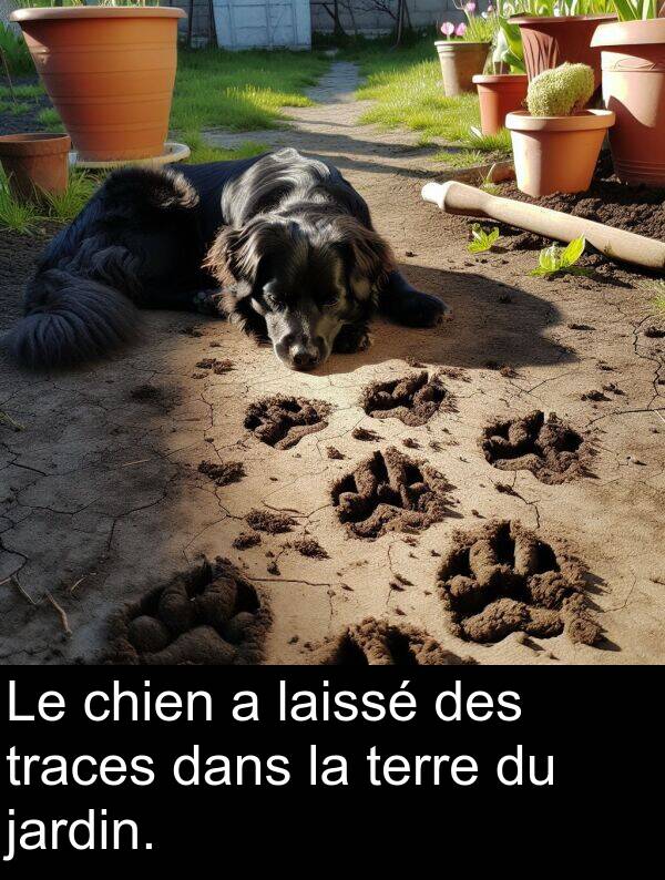 jardin: Le chien a laissé des traces dans la terre du jardin.