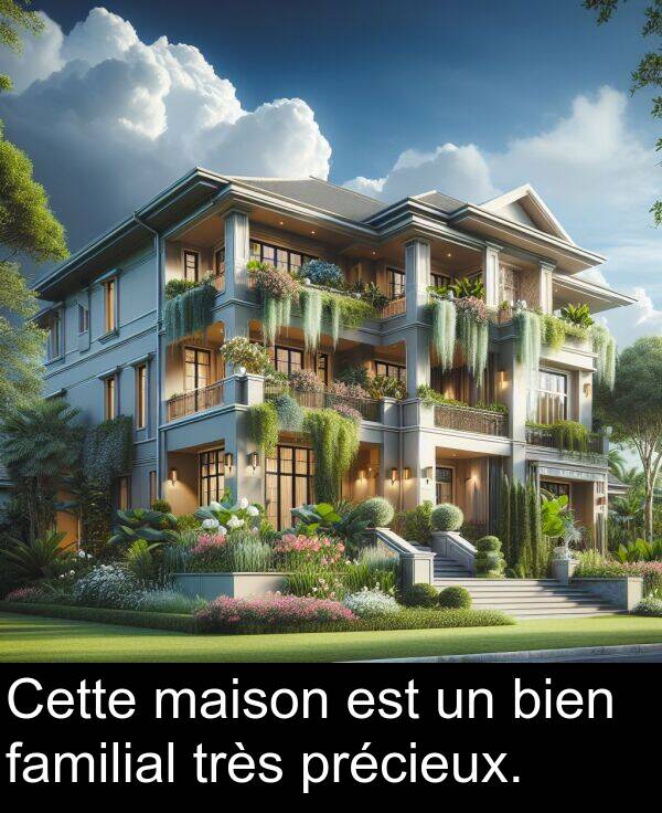 maison: Cette maison est un bien familial très précieux.