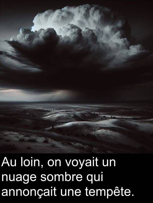 loin: Au loin, on voyait un nuage sombre qui annonçait une tempête.
