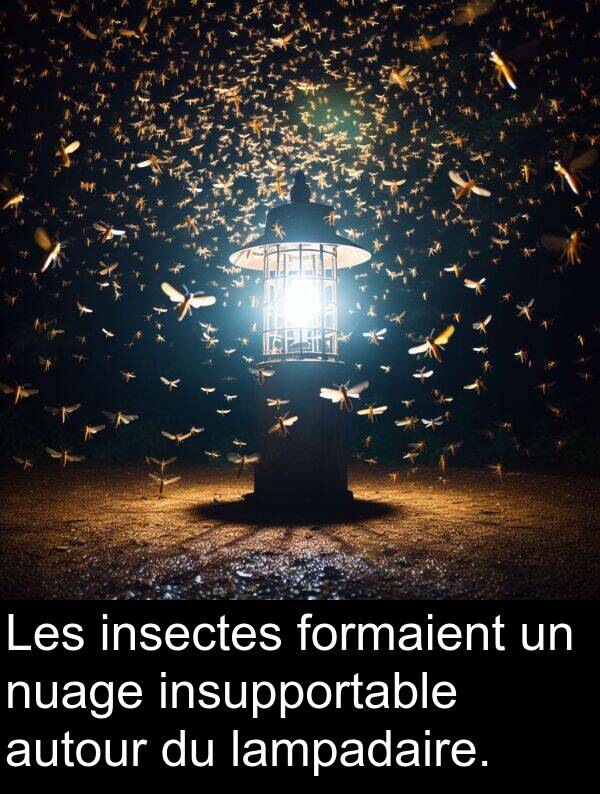 lampadaire: Les insectes formaient un nuage insupportable autour du lampadaire.