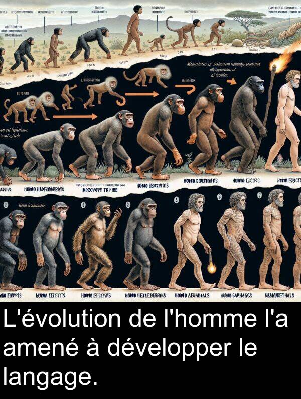 langage: L'évolution de l'homme l'a amené à développer le langage.