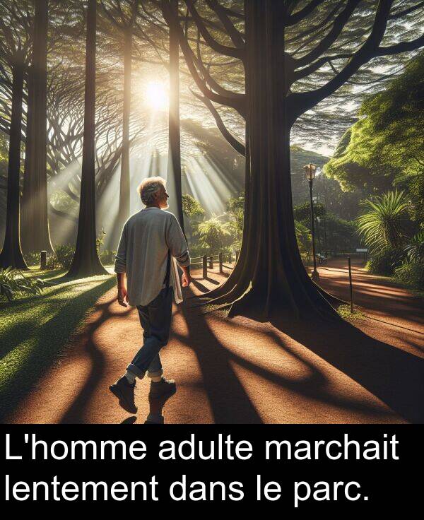lentement: L'homme adulte marchait lentement dans le parc.