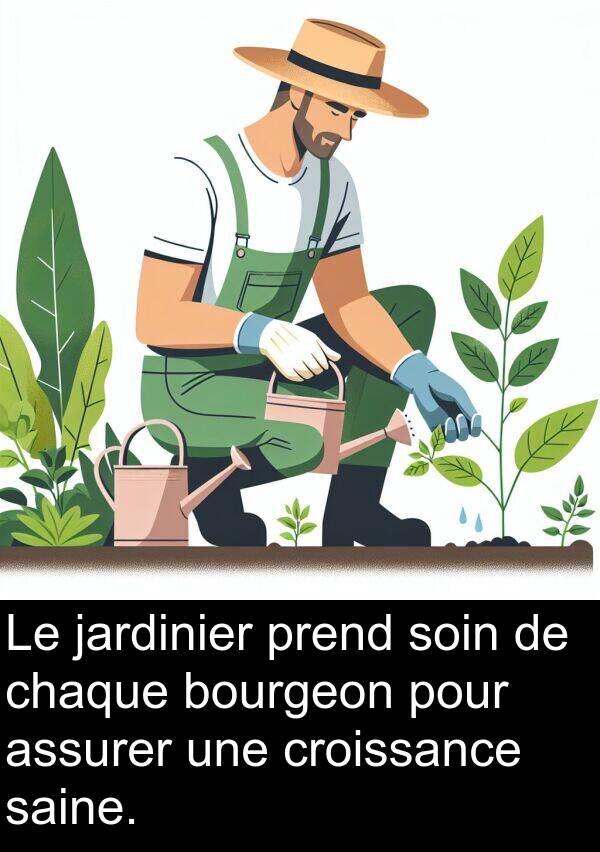 jardinier: Le jardinier prend soin de chaque bourgeon pour assurer une croissance saine.